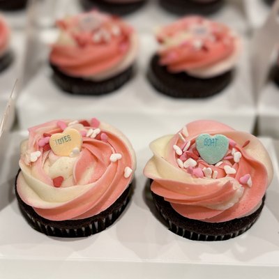 Chocolate Cupcakes