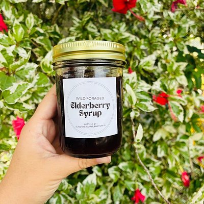 Elderberry Syrup (8oz)