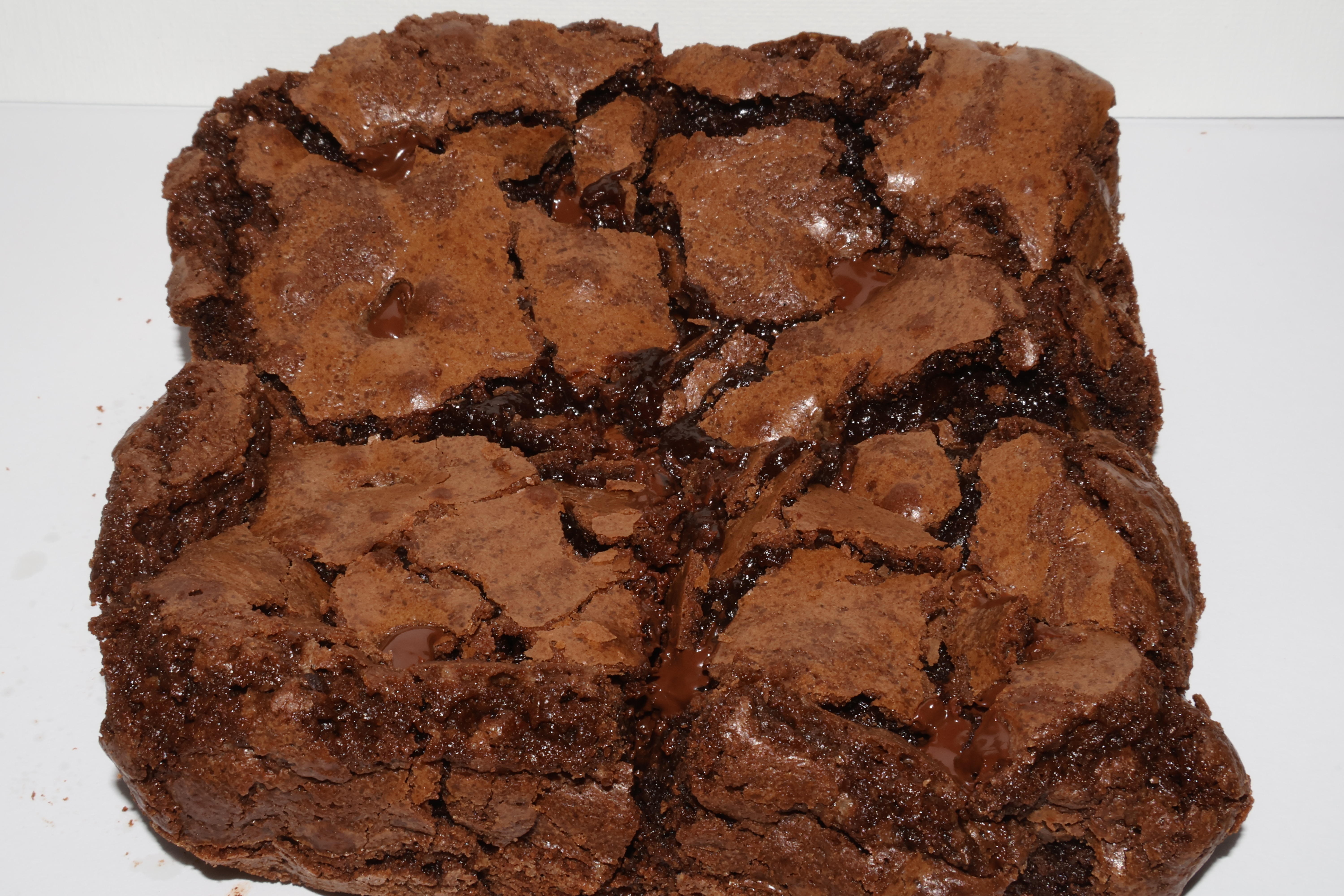 Moonshadow Brownie ( Large)
