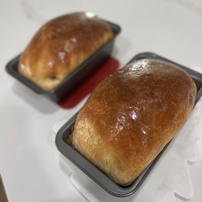 Original Sourdough (w/yeast) Sandwich Bread