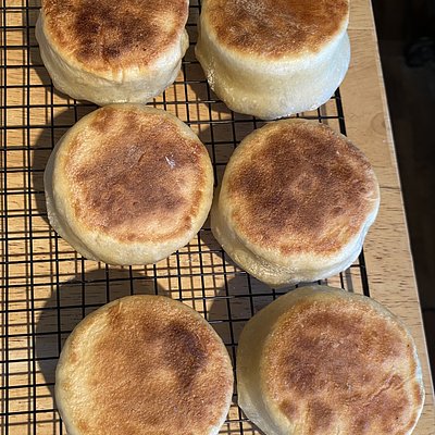 Large Sourdough English Muffins