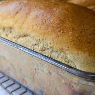 Amish Sandwich Bread, One Large Loaf