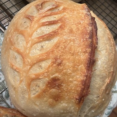 Classic Artisan Loaf
