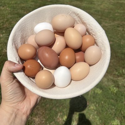 Dozen Chicken Eggs 