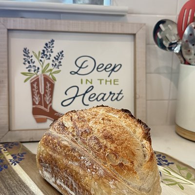 Classic Sourdough Loaf