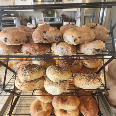 Cinnamon Raisin Bagel