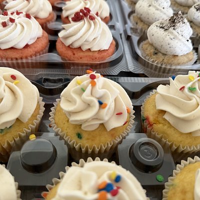 Cupcake Dozen (12)