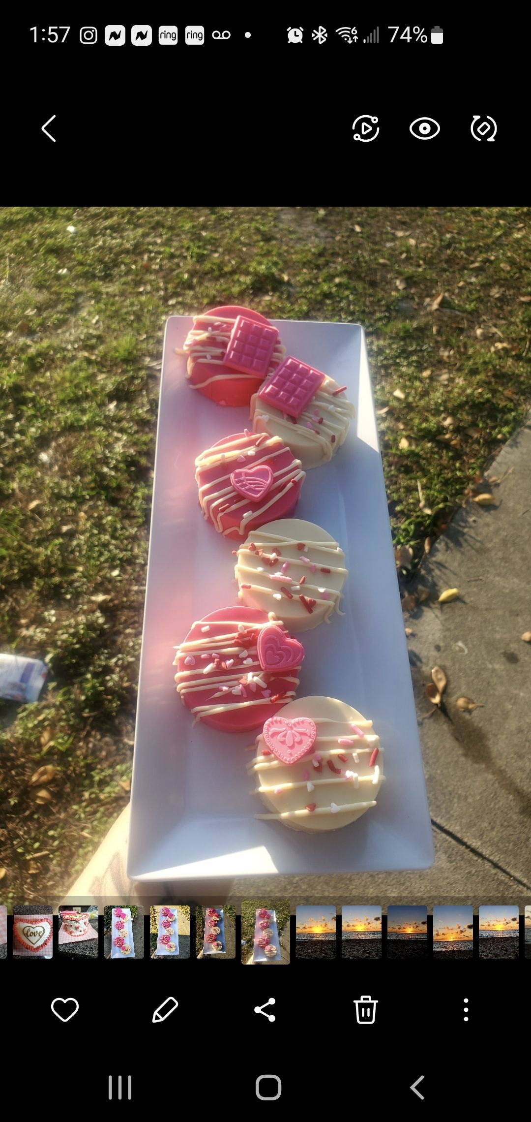 Cake Pucks 