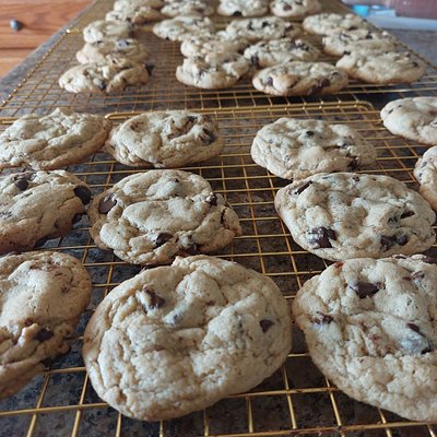Kashmir Cookies 12ct