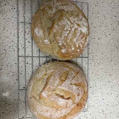Plain Sourdough Loaf