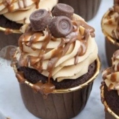 The Roloaway - 1 Dozen 