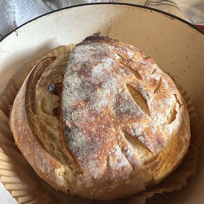 Sourdough Loaf : Plain