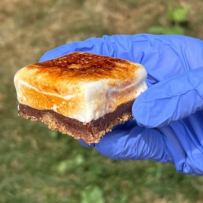 Mini S’mores bars 