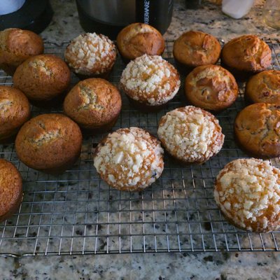 Jumbo Muffin Banana Nut