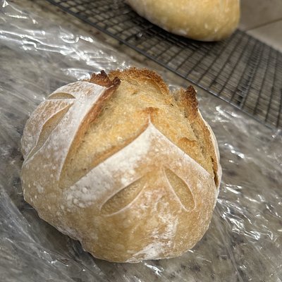 Sourdough Mini 