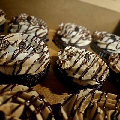 Chocolate Cupcakes 