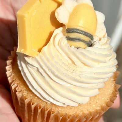 Gourmet Cupcake Boxes