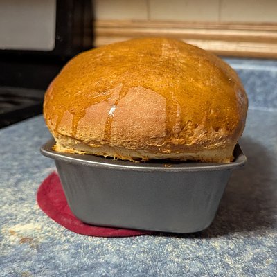 Sourdough Sandwich Loaf