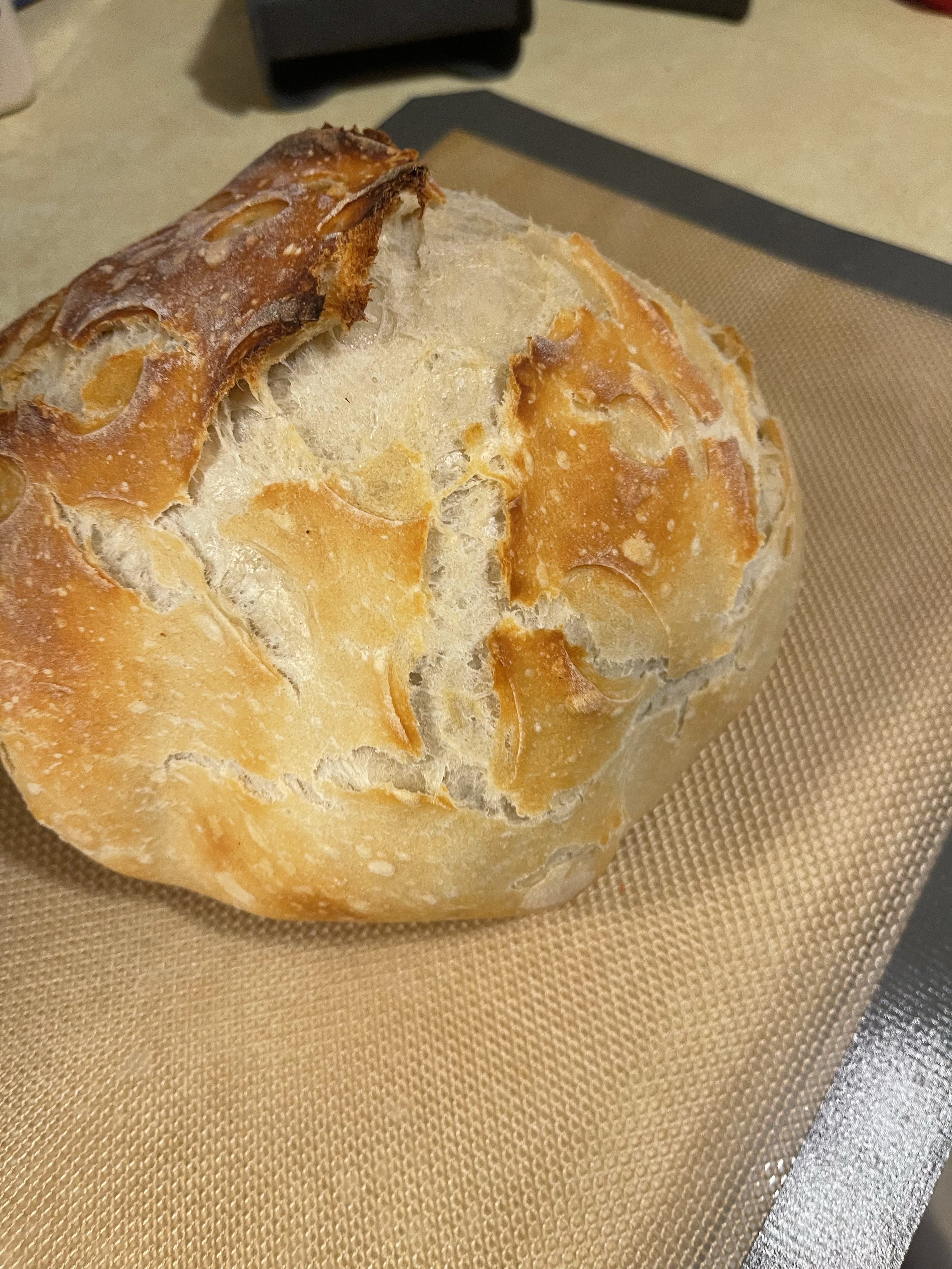 Sourdough 