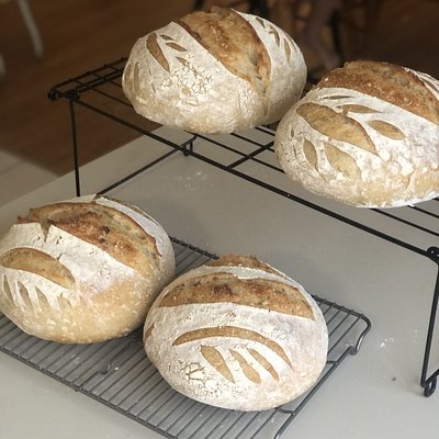 Classic Country Sourdough 