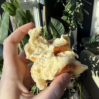 Sourdough Hawaiian Rolls 