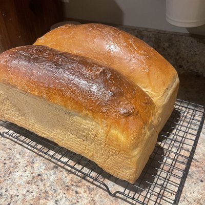 Sourdough Sandwich Loaf