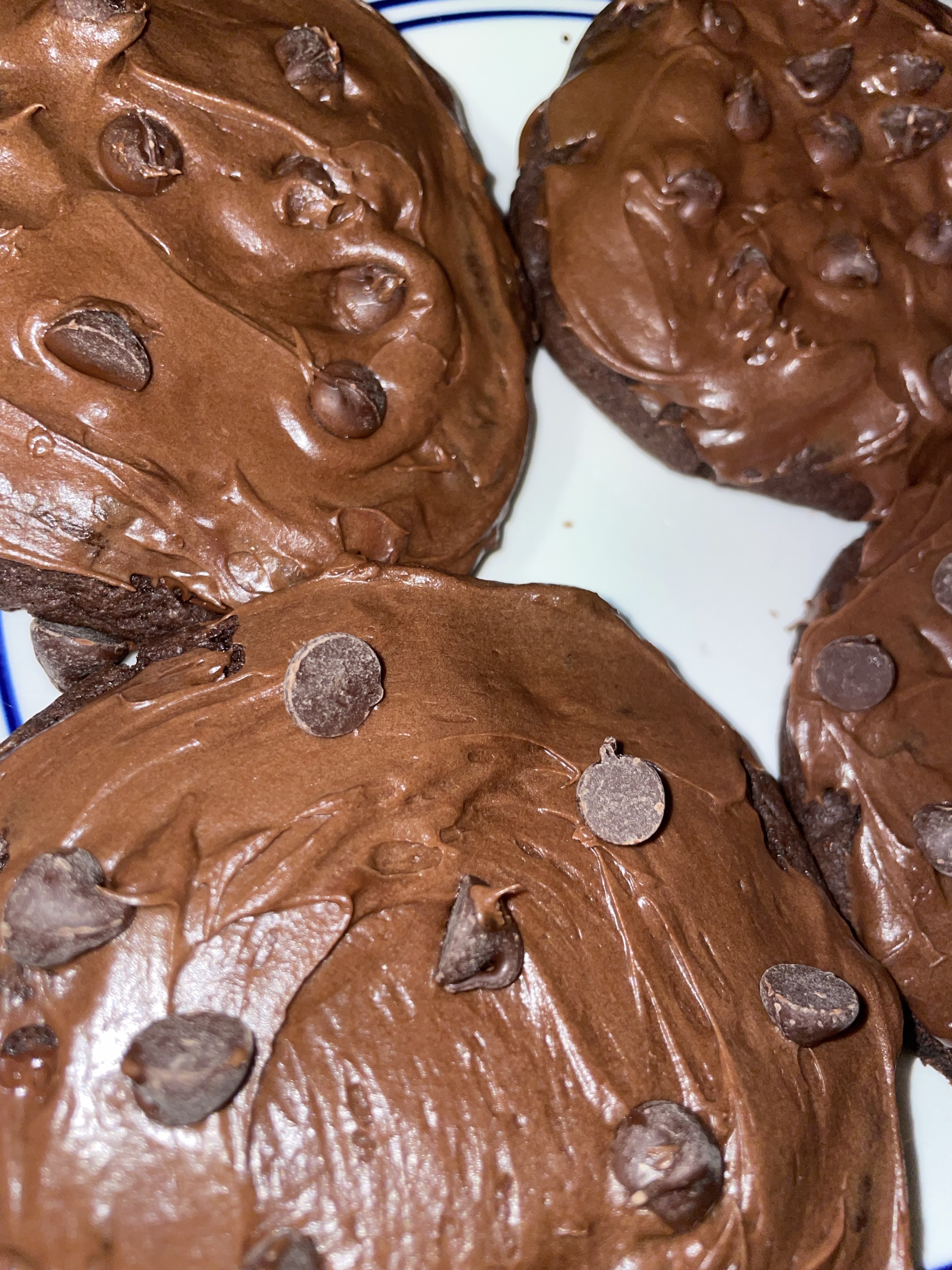 Double Chocolate Chip