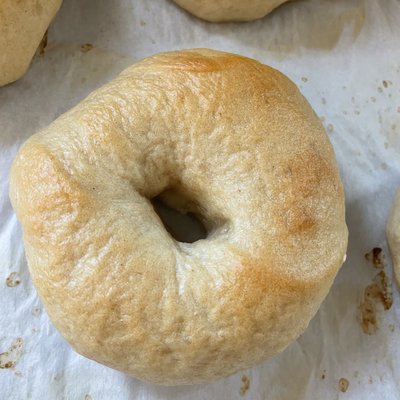 Organic Plain Sourdough Bagels