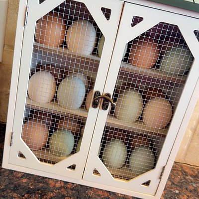 Farm Fresh Chicken Eggs