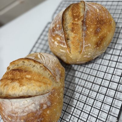 Medium Bread Bowls (2) 