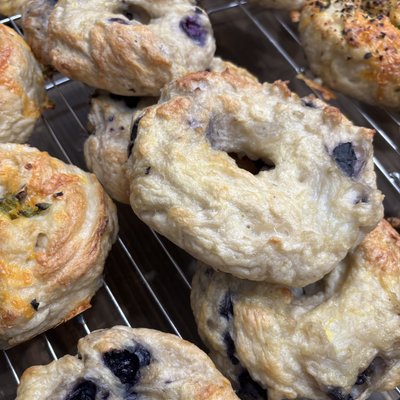 Blueberry Bagels