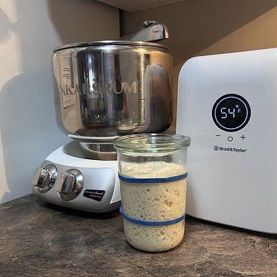 Sourdough Starter ( Dehydrated ) 