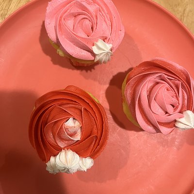 Dozen Cupcakes 