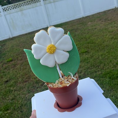 Dulce Jardín Para  Mamá