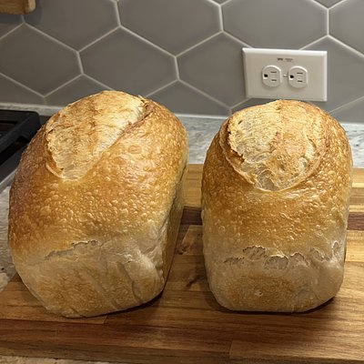 Sourdough Sandwich Bread Loaf