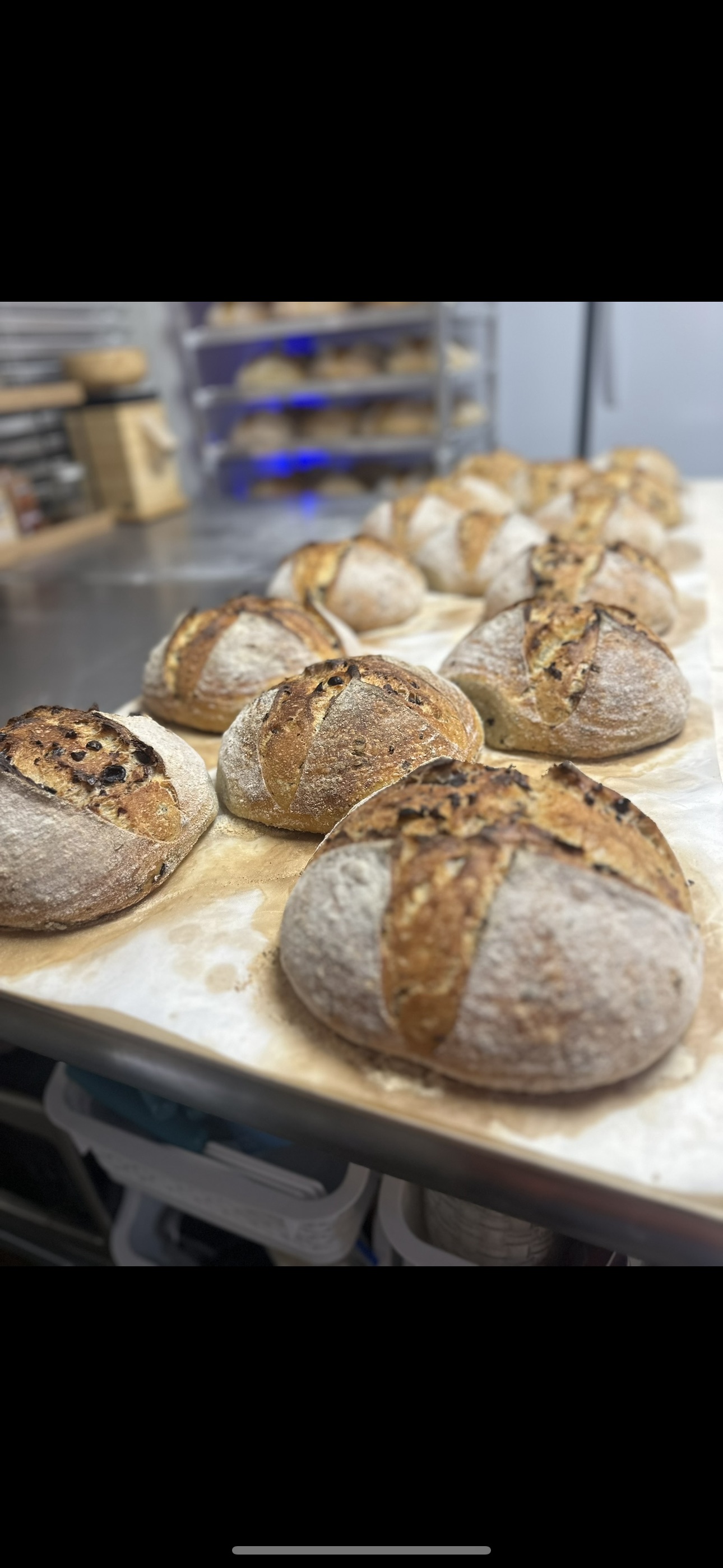 Sourdough 101 Friday October 3rd @ 6pm