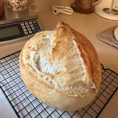 Signature Sourdough 