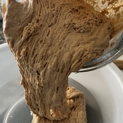 Ancient Organic Whole Wheat Sourdough Starter