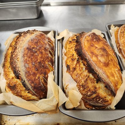 Plain Artisan Sourdough 
