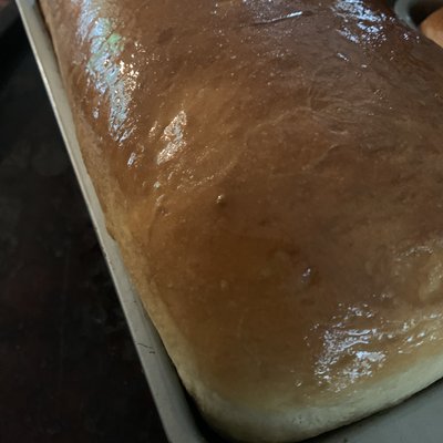 Sandwich Bread