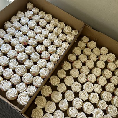 Mini Cupcakes