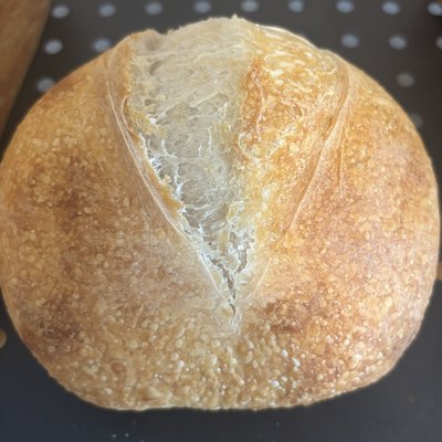 Classic Sourdough Medium 