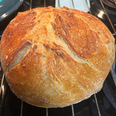 Basic Sourdough Bread 