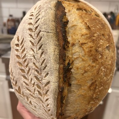 Rosemary Garlic Sourdough