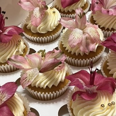 Cupcakes 