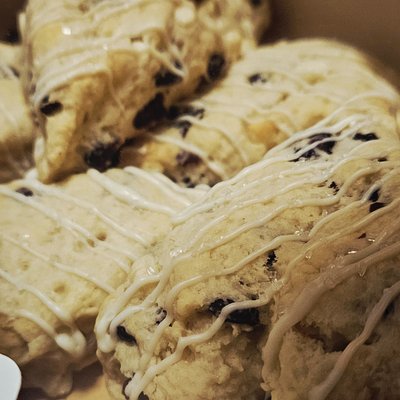 Scones 8ct