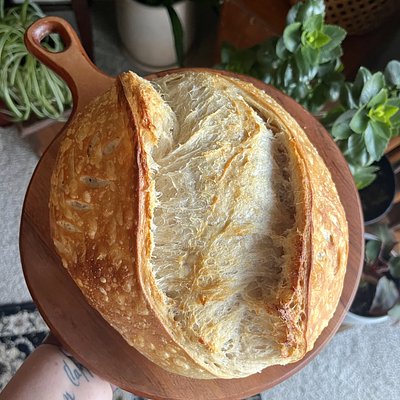 Plain Artisan Loaf