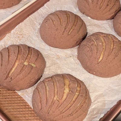 Chocolate Concha 