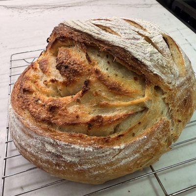 Round- Italian Parmesan