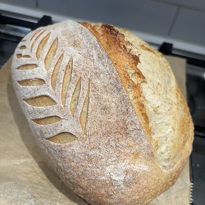 Sourdough Classic -oval 